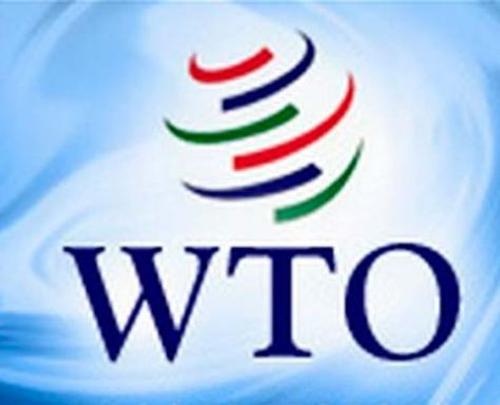 Россия в ВТО: обратный ход