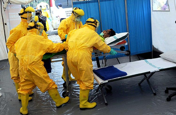 Все об Эболе: возможно ли заражение в России?