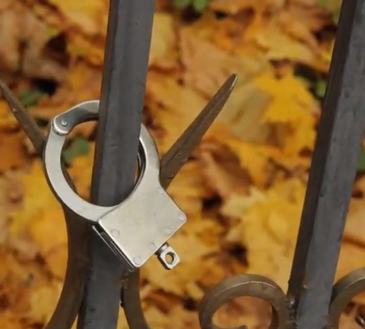 Активистке в Петербурге присудили сутки ареста за информацию о митинге в соцсети