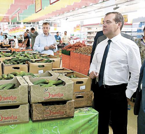 Система Медведева