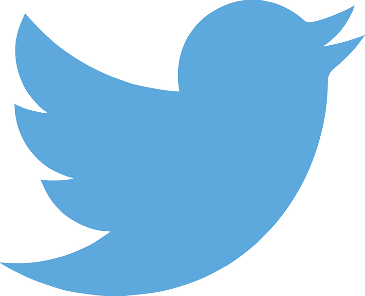 Twitter могут запретить на территории России