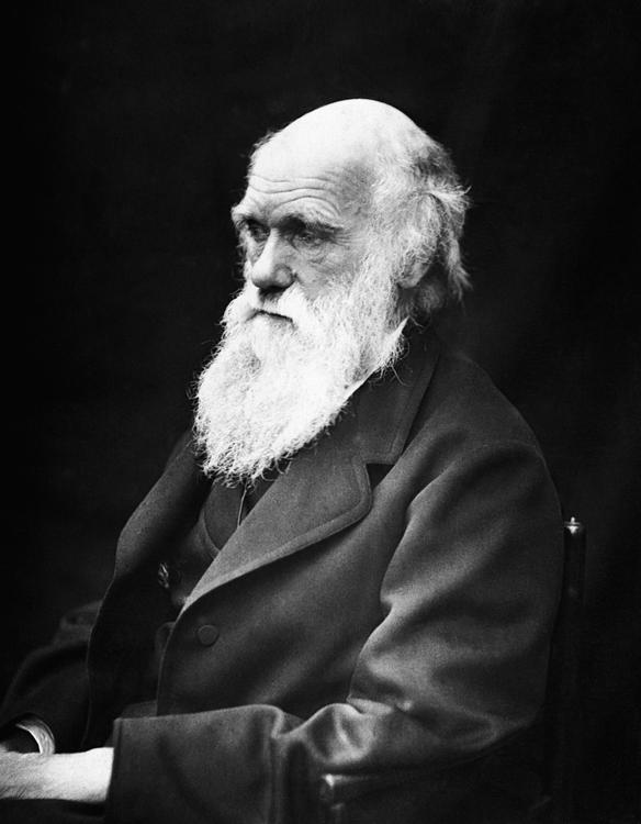 Ученые заявили, что Дарвин не был родоначальником теории эволюции