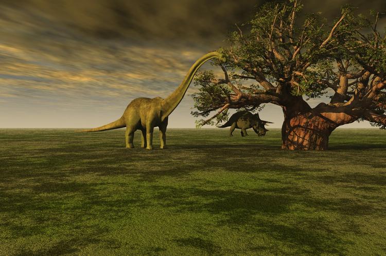 В Канаде найдена тропа динозавров