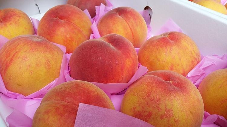 Россельхознадзор подтвердил разрешение импорта фруктов и ягод из Молдавии