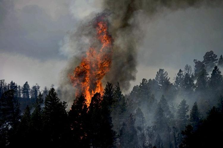В Канаде бушуют лесные пожары: эвакуированы уже восемь тысяч человек