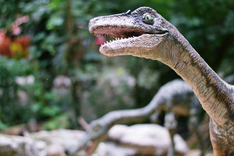 Найдены останки не известного науке динозавра
