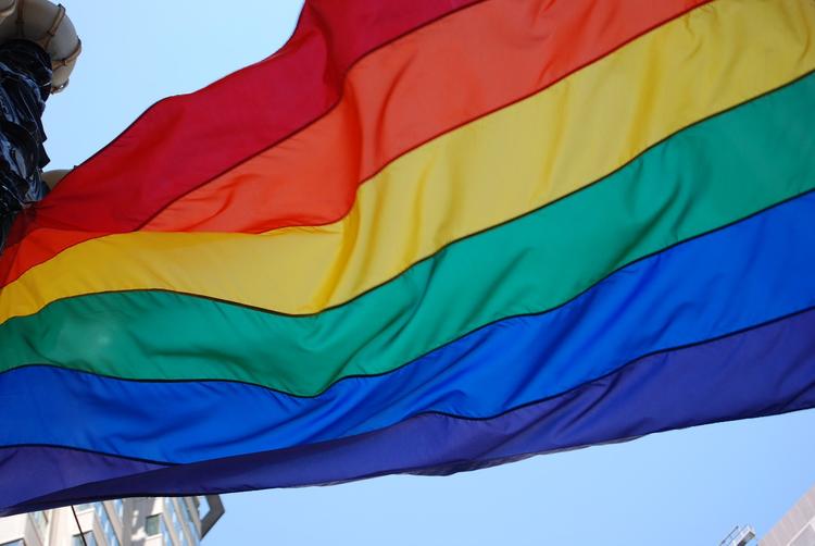 СМИ: "Единая Россия" создала флаг гетеросексуалов