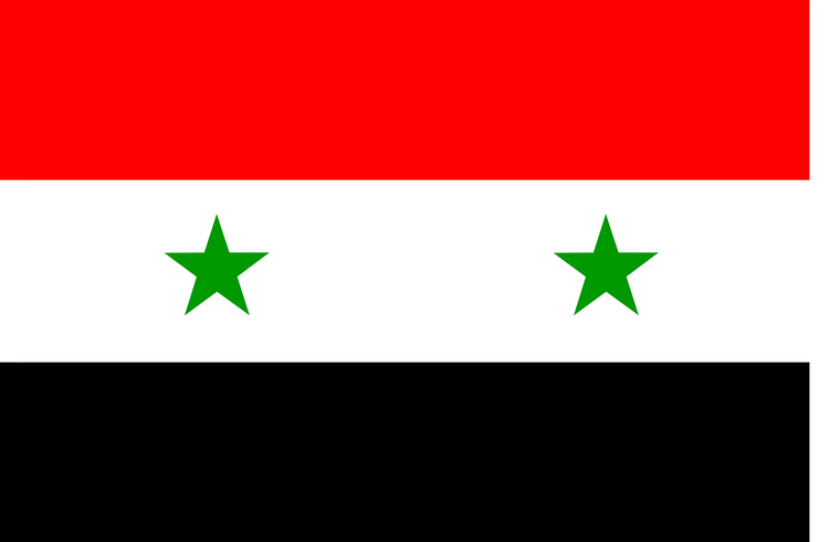 Амнистия для дезертиров внутри и за пределами Сирии объявлена Асадом