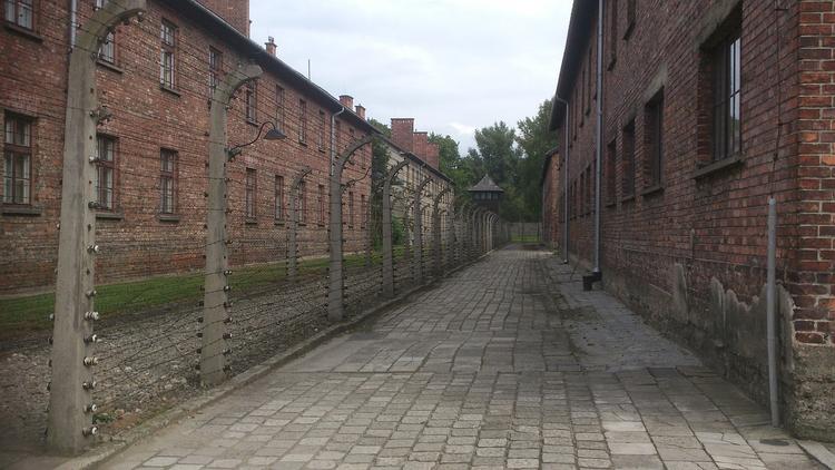 Минобороны РФ рассекретило документы из Освенцима
