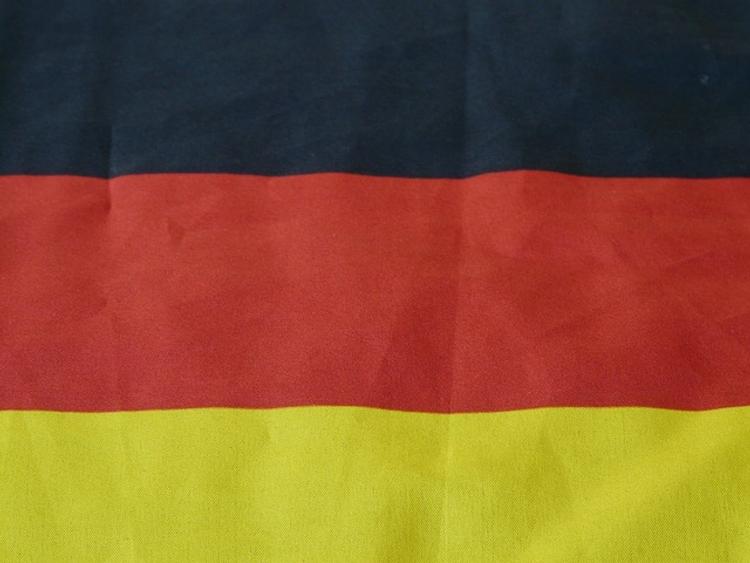 Немецких журналистов подозревают в государственной измене