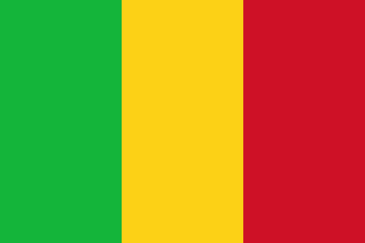 В отеле Мали, захваченном боевиками, обнаружено 13 погибших
