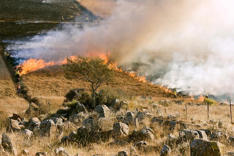 Режим ЧС введен в Геленджике из-за серьезных лесных пожаров