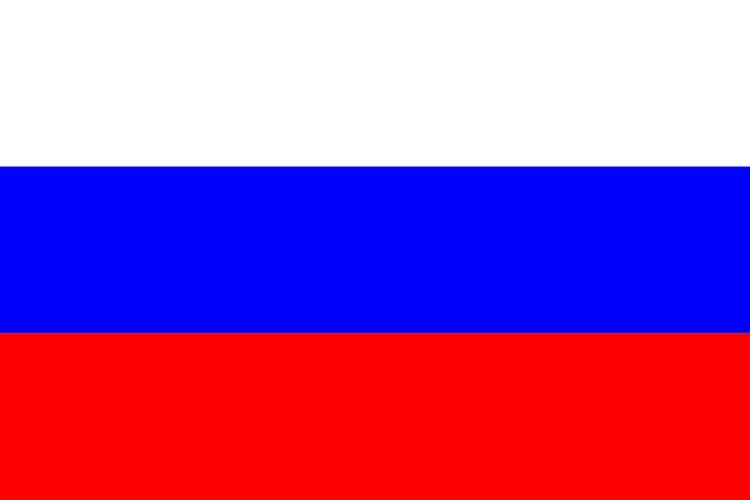 Пенсионер надругался над флагом России в Петропавловске-Камчатском