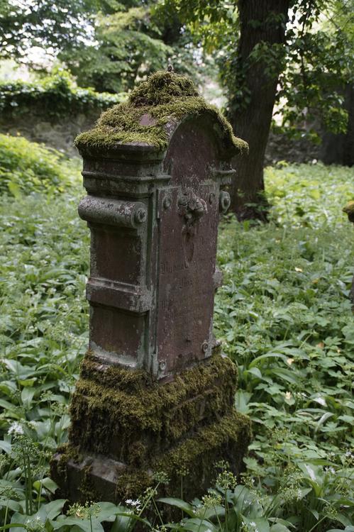 На рижском кладбище выкопали и похитили несколько гробов с мертвецами
