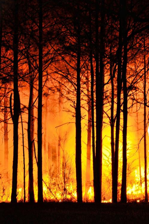 В Геленджике вспыхнул серьезный природный пожар