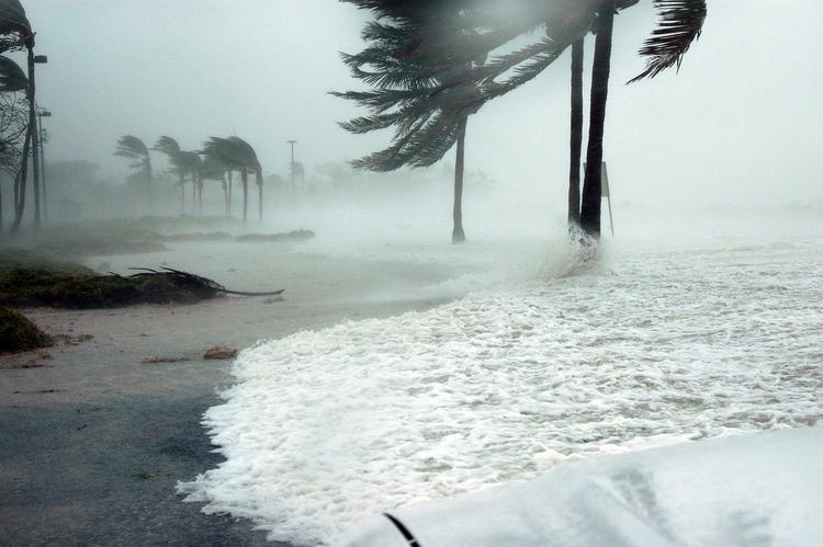 Тропический ураган "Эрика" разрушил целое государство
