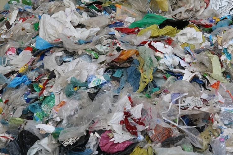 В содержимое желудков 90% морских птиц входят частицы пластика