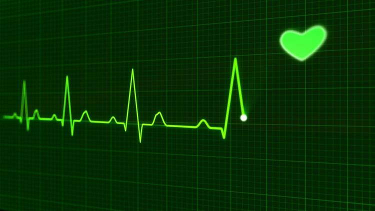 Революция в науке: человеческое сердце "научили" биться вне тела