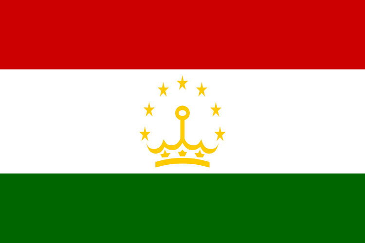 В Таджикистане брат беглого генерала сдался властям
