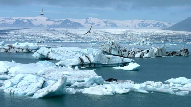 Российский военный корабль замечен у судна США Shell в Арктике