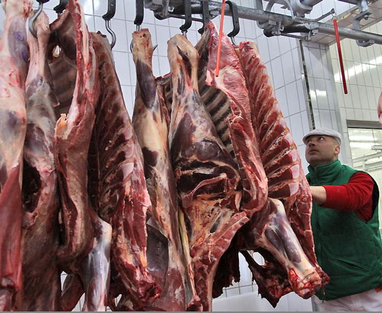 Пензенская область лидирует в ПФО по производству мяса