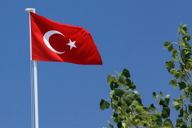 Турецкие власти обсудят политическое урегулирование в Сирии с РФ и Ираном