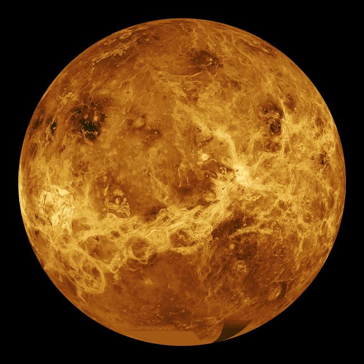 Ученые: на Венере существует жизнь