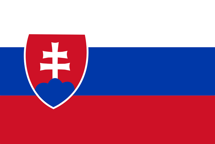 Словакия обсудит с РФ транзит газа в Евросоюз