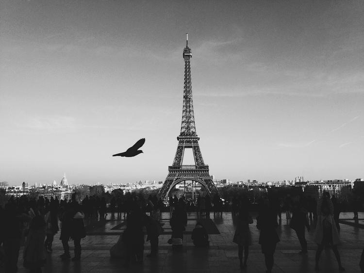 Тела 103 погибших в ходе парижских терактов опознаны