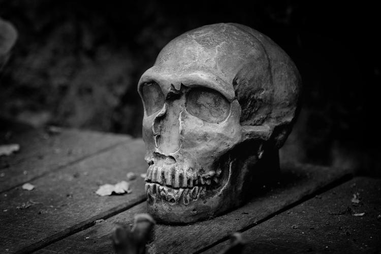 В Китае обнаружены кости древних "хоббитов"