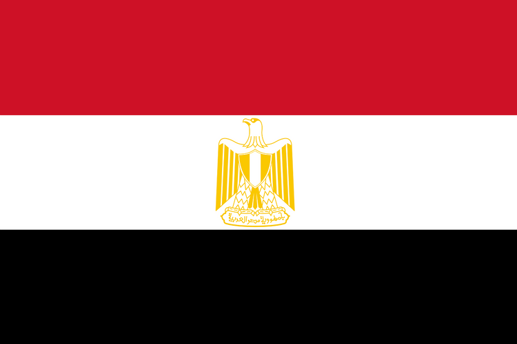 Первое заседание нового парламента Египта началось с присяги