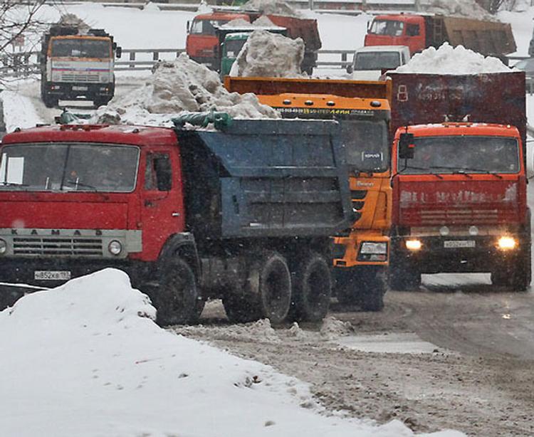 Прокуратура Петербурга вынесла предостережение главе комитета по благоустройству