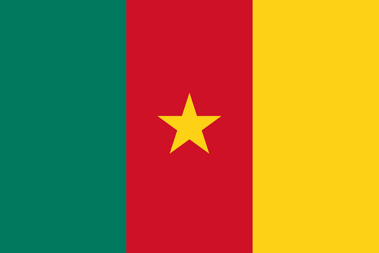 Три взрыва прогремели в центре Камеруна