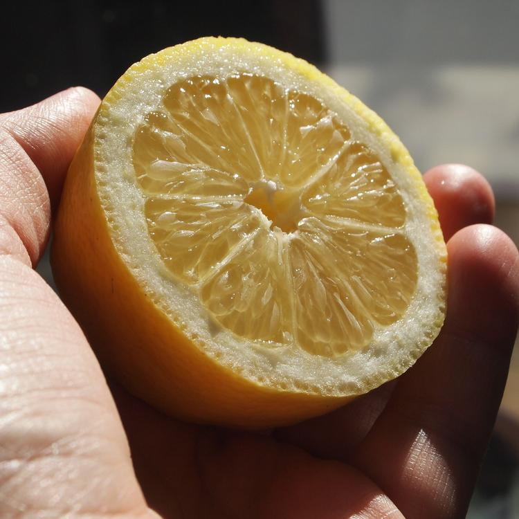 В сети появился ролик, демонстрирующий, как зарядить телефон при помощи лимона