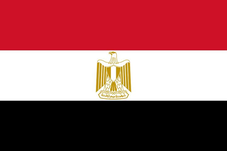 Президент Египта признал крушение российского А321 на Синае терактом