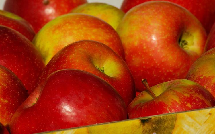 Более 170 тонн опасных для здоровья яблок и томатов выявлено в Подмосковье