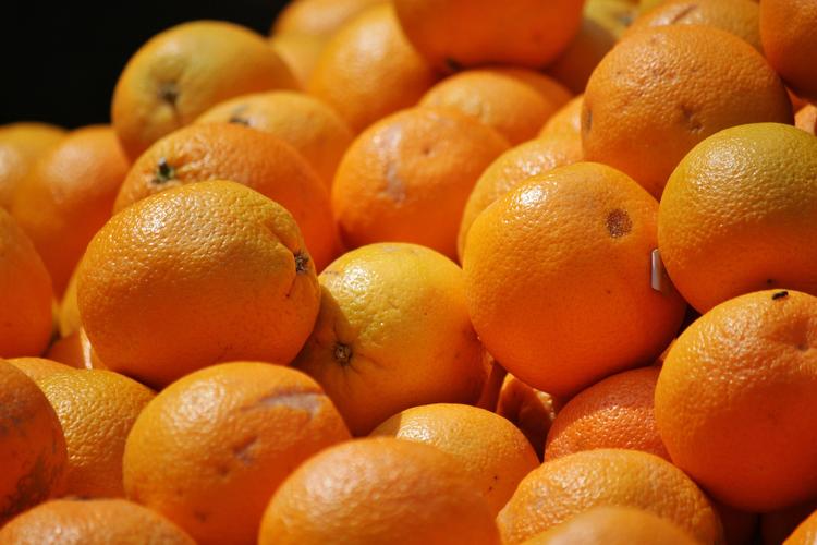 РФ планирует нарастить экспорт фруктов из Марокко