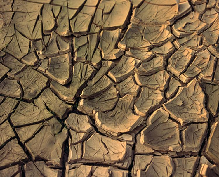 Последствия прошлогодней засухи в Приангарье могут сказаться на нынешнем урожае