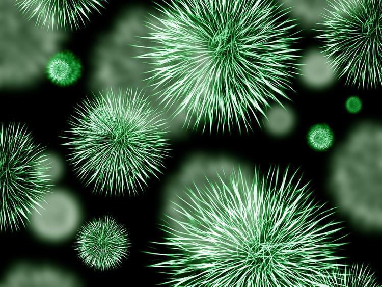 Ученые: Вирусы-бактериофаги полностью заменят антибиотики