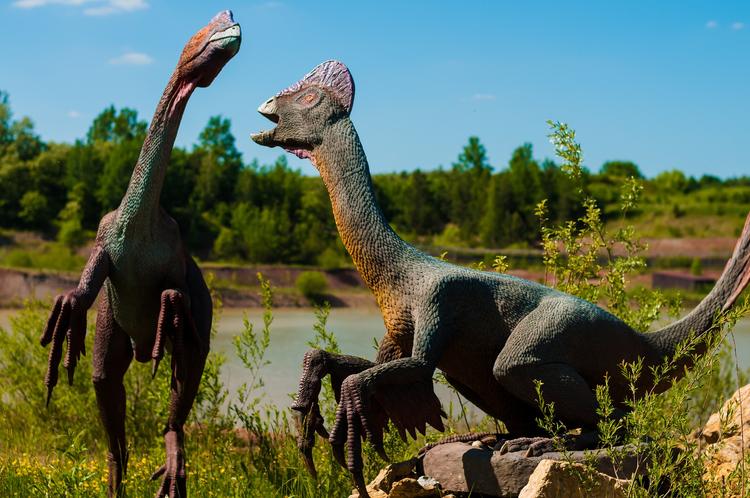 Число видов динозавров, которые жили на Земле, шокировало ученых