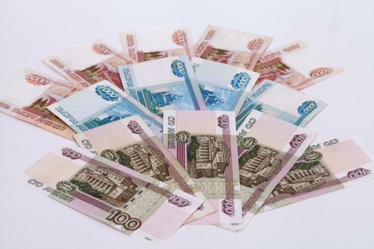 Совфед рекомендует россиянам откладывать 5% зарплаты на "черный день"