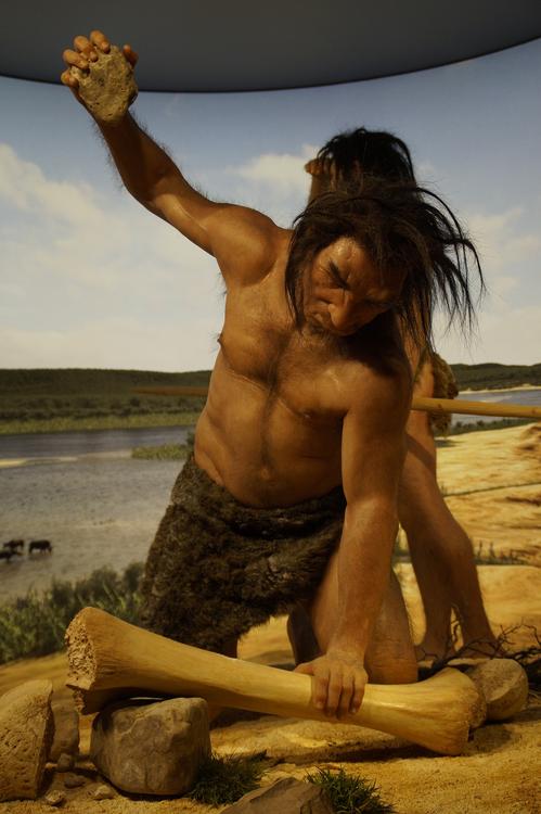 Появилась удивительная теория вымирания неандертальцев