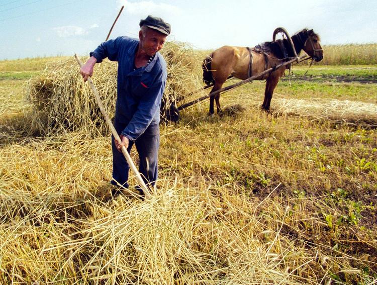 Путин обрадовал фермеров: санкции отменят нескоро
