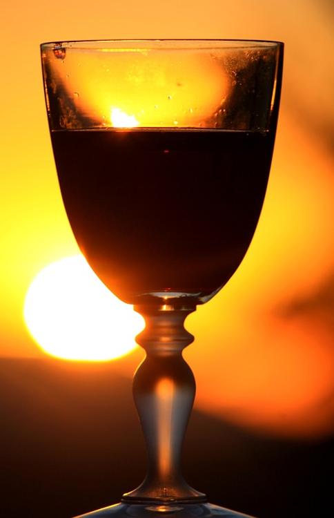 Ученые: Два бокала красного вина в день помогут сжечь калории