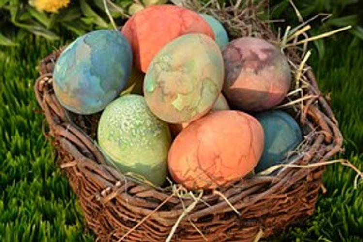 В Крыму дерево с яйцами появится к 1 мая  в Ялте