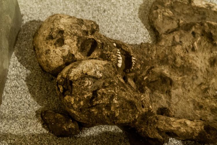 Археологи нашли 4800-летние останки матери с ребенком на руках
