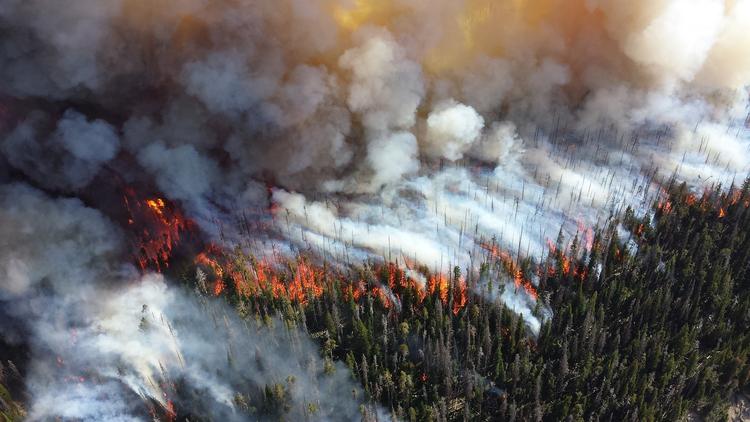 За минувшие сутки на Дальнем Востоке огонь уничтожил 7 тыс. га леса