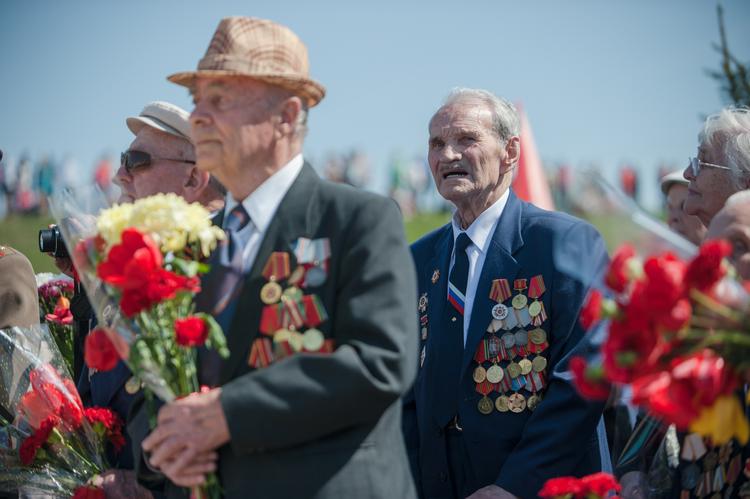 День Победы в России отпраздновали не менее 24 млн человек