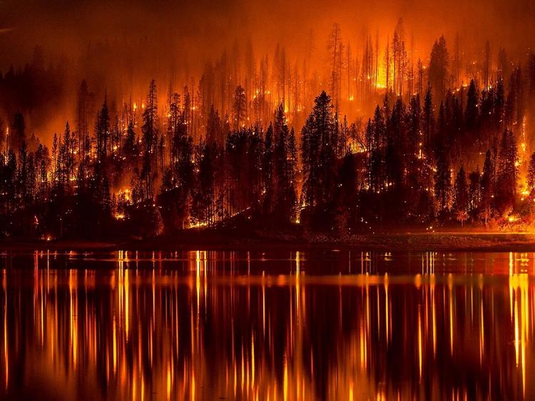 Greenpeace: масштабы лесных пожаров в РФ в СМИ преуменьшены в 11 раз