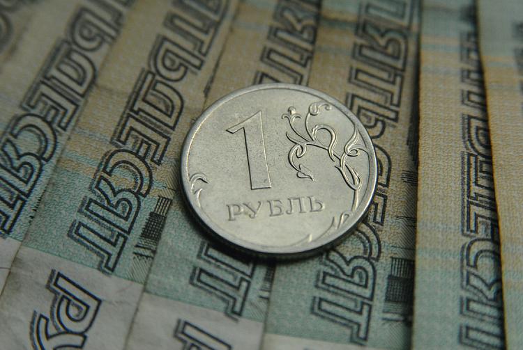 Размер зарплат в России упал до уровня Белоруссии и Казахстана